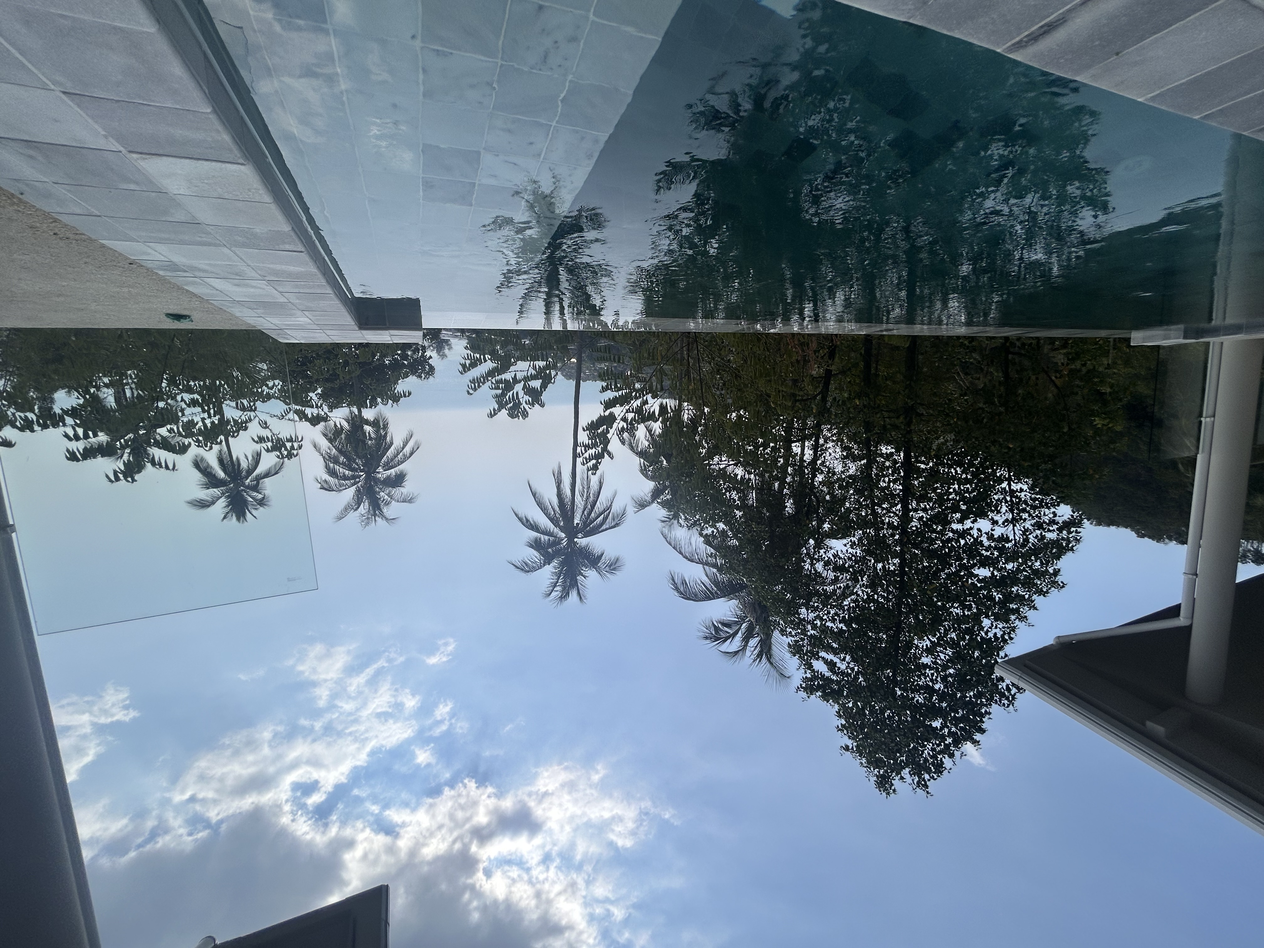 Villa D pool and tropical view